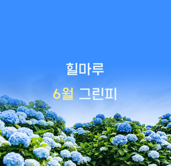 25년 6월 그린피 안내